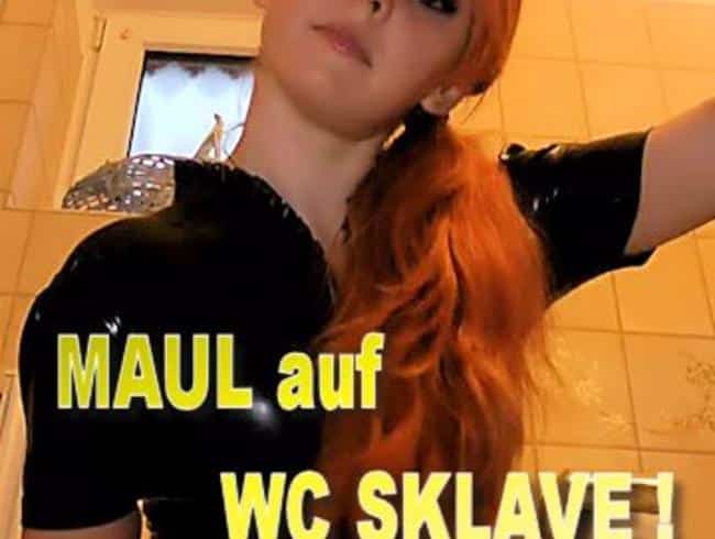 MAUL auf WC SKLAVE ! VIEL NS !