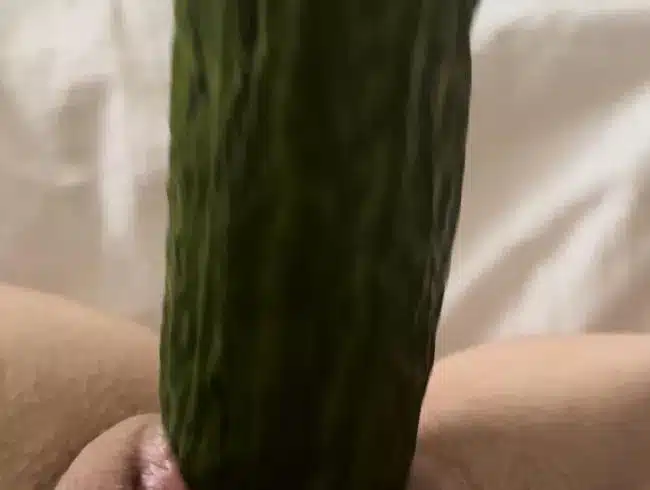 Horny cucumber fuck