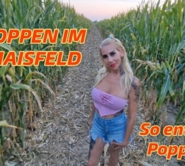 Popcorn im Maisfeld: So wird es gemacht