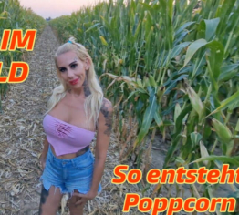 Poppen im Maisfeld, so entsteht Poppcorn