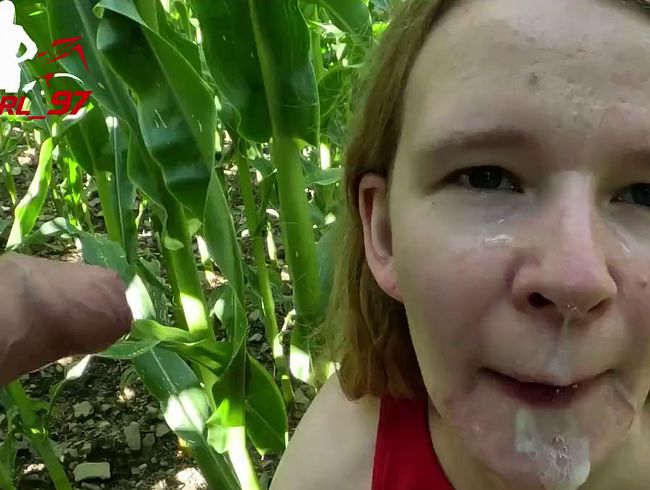 Cheap teen slut gets fuck and facial in the cornfield